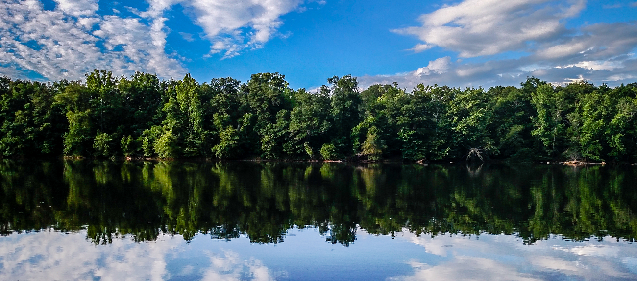 Pest Control Catawba County