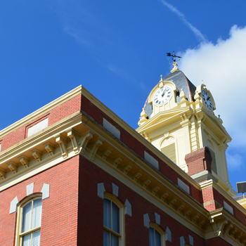 Pest Control Matthews NC