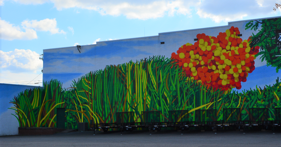 Pest Control Clover SC