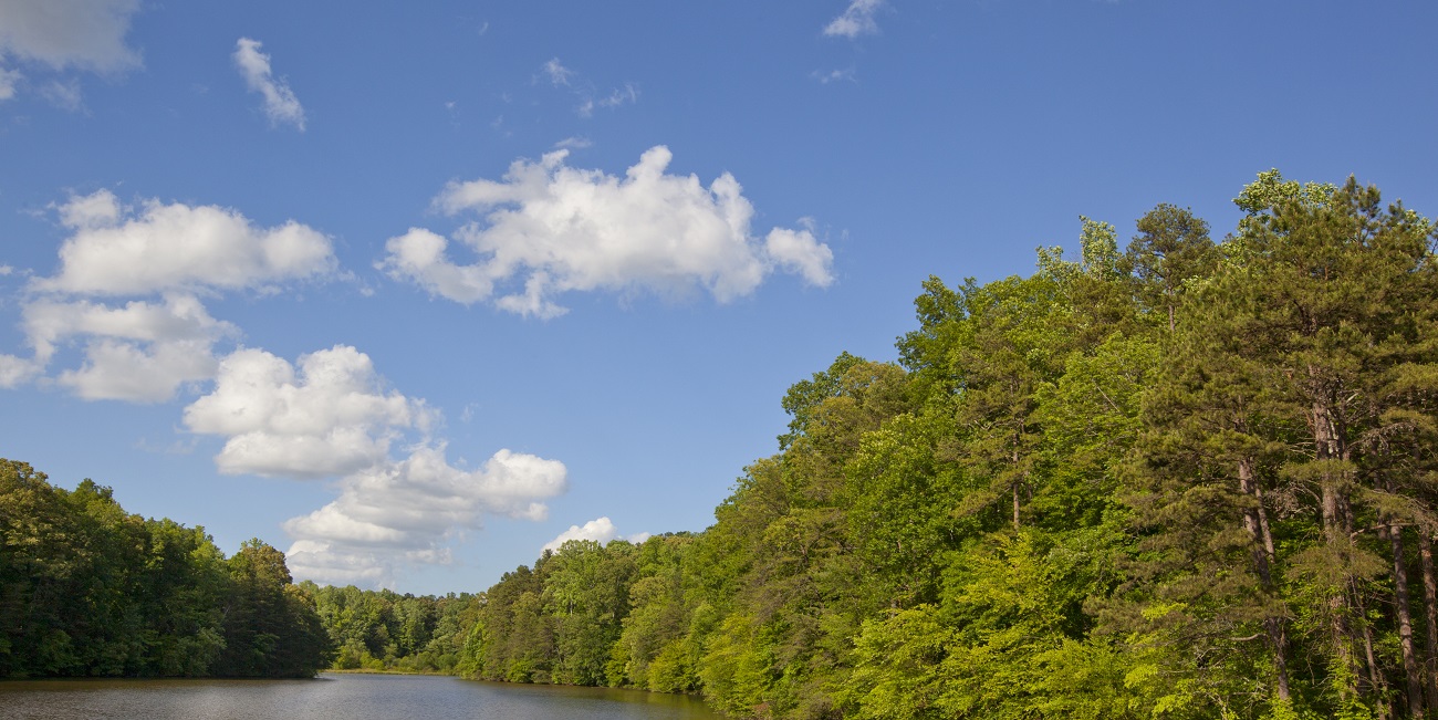 Pest Control Catawba NC