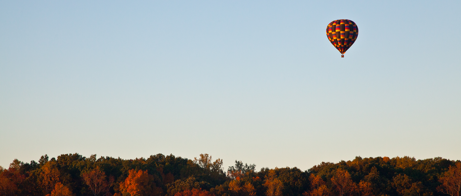 Pest Control Statesville NC