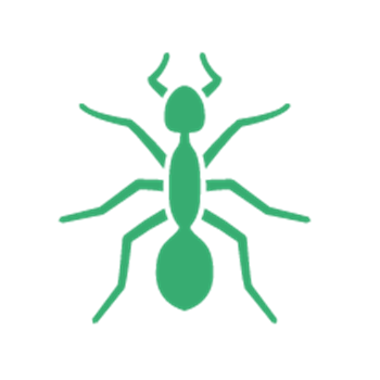 Ants Killingsworth Charlotte Nc 01