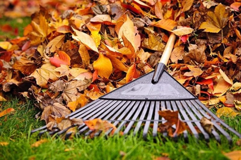 Killingsworth-Environmental-fall-lawn-care-e1562780412809.jpg