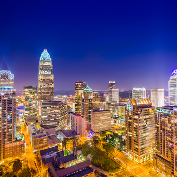 Pest Control Charlotte Nc (1)