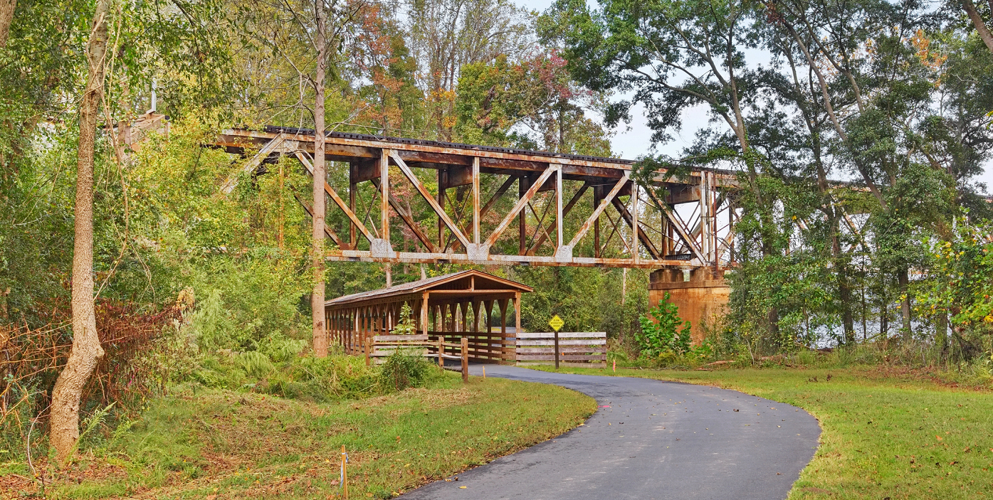 Pest Control York County Sc