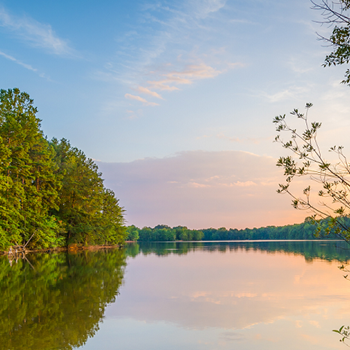 Pest Control Davidson NC