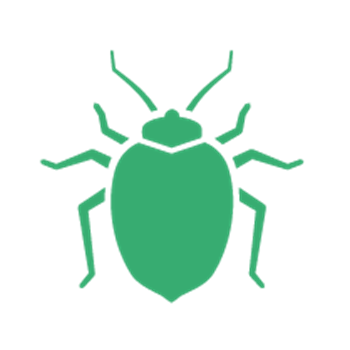 Bedbugs Killingsworth 01