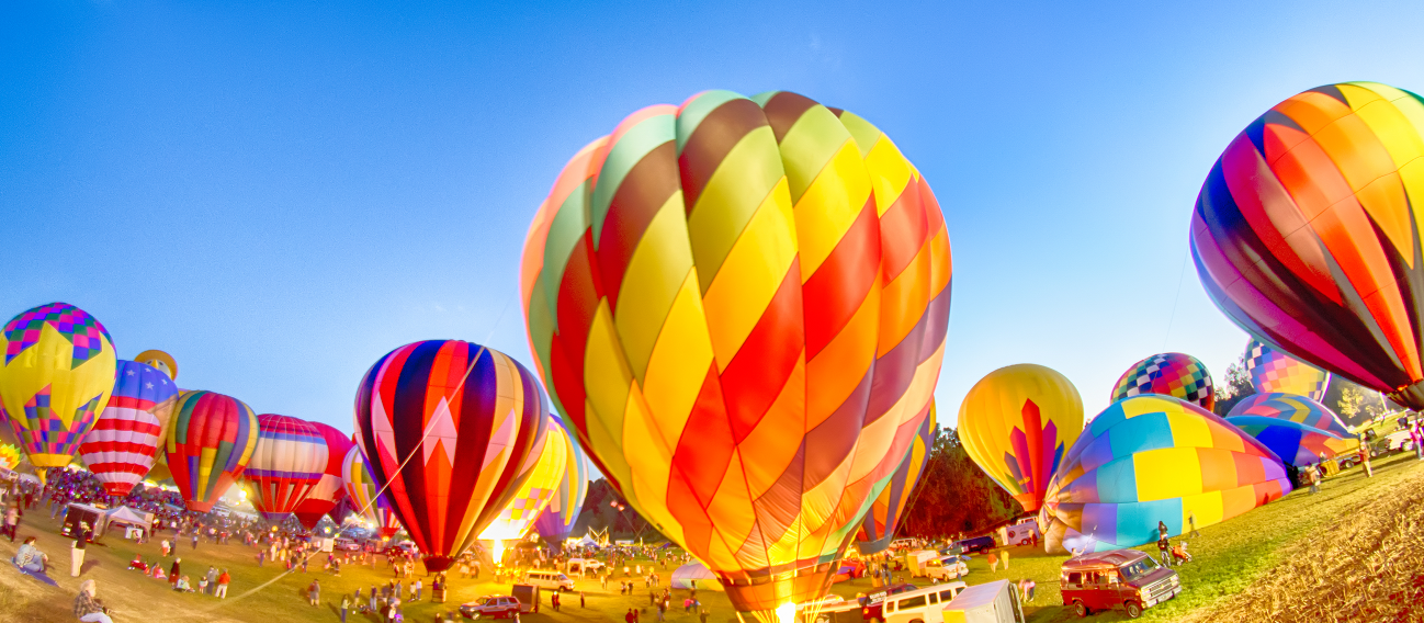 Iredell County Pest Control