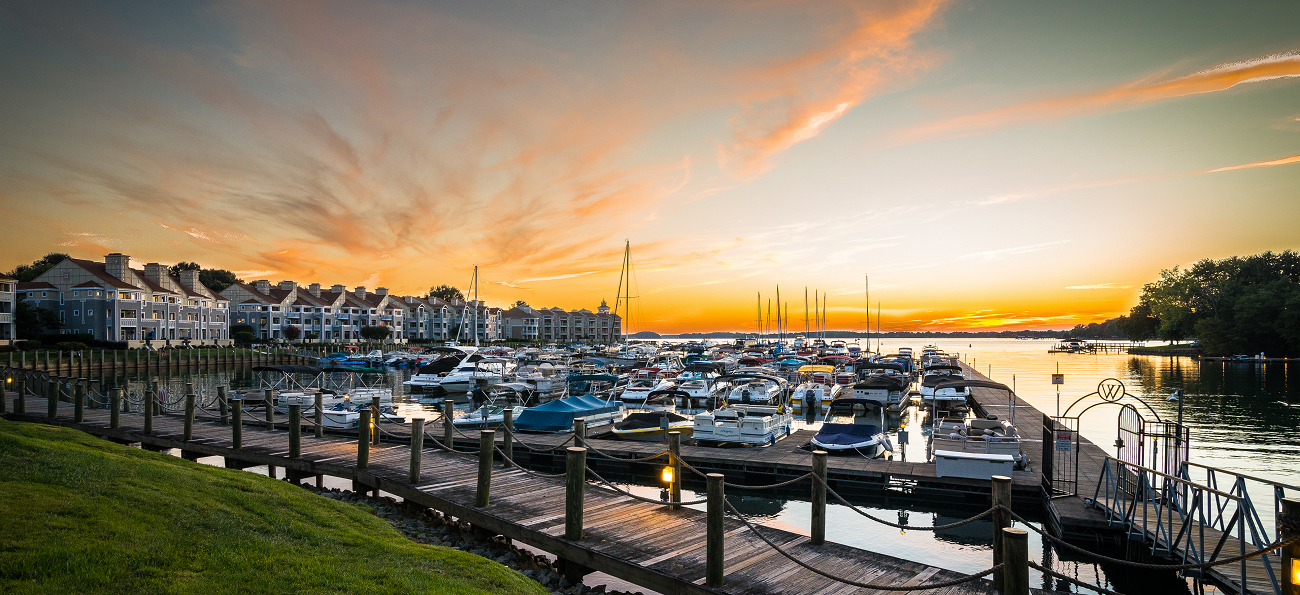 Pest Control Lake Norman