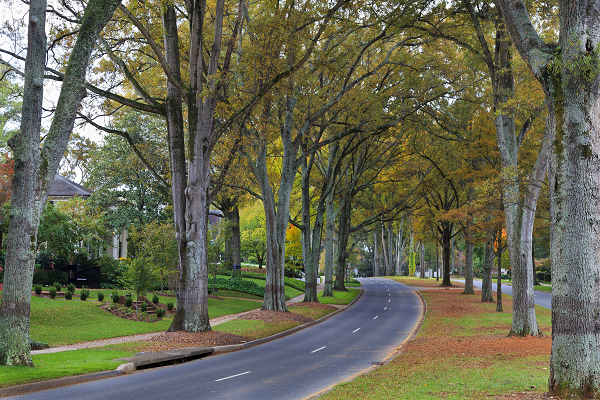 Pest Control Mecklenburg County NC